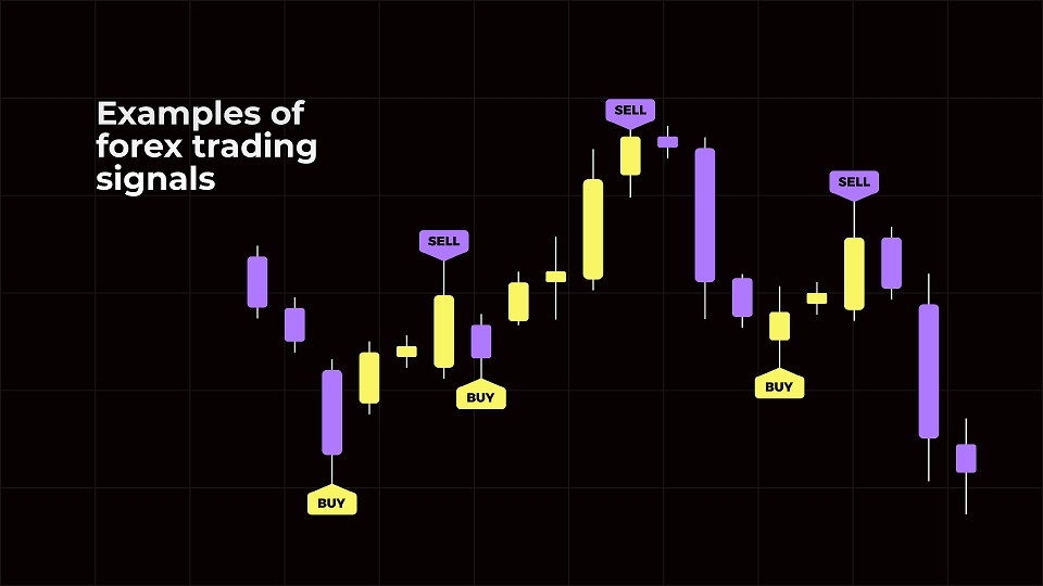 Make Confident Moves Using the Best Forex Trading Indicators for Clear Market Signals